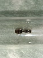 IMG_20251019_183855.jpg