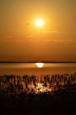 DSC_0168.JPG DSC_0168.JPG