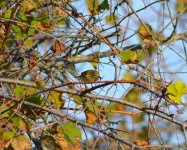 DSC_0127.JPG DSC_0127.JPG