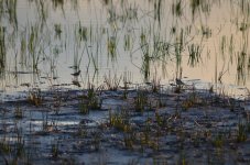 DSC_0159.JPG DSC_0159.JPG