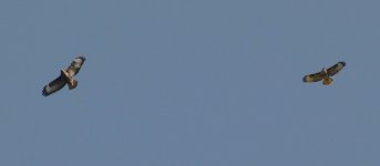 DSC_0097.JPG DSC_0097.JPG