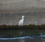 DSC_0107.JPG DSC_0107.JPG