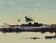 DSC_0117.JPG DSC_0117.JPG