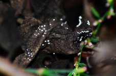 DSC_0188.JPG DSC_0188.JPG