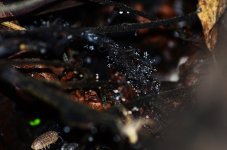 DSC_0190.JPG DSC_0190.JPG