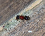 DSC_0086.JPG DSC_0086.JPG