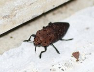 DSC_0090.JPG DSC_0090.JPG