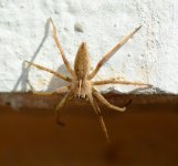 DSC_0098.JPG DSC_0098.JPG