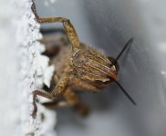 DSC_0186.JPG DSC_0186.JPG