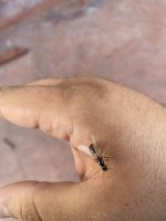IMG_0476.jpeg