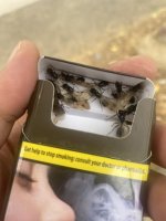 IMG_0495.jpeg