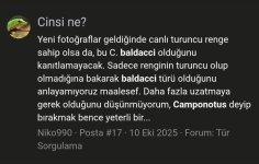Screenshot_2025-10-21-15-47-55-27_40deb401b9ffe8e1df2f1cc5ba480b12.jpg