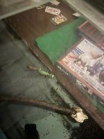 030ed9b7-86de-42bb-a0ee-1b021793fc78.jpg 030ed9b7-86de-42bb-a0ee-1b021793fc78.jpg