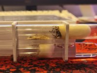 WhatsApp Görsel 2025-10-22 saat 21.15.18_49b0be7c.jpg