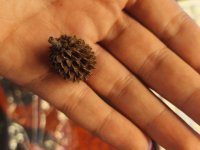 WhatsApp Görsel 2025-10-22 saat 21.15.18_e8e44af2.jpg