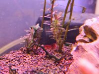 WhatsApp Görsel 2025-10-22 saat 21.15.19_19a11a57.jpg