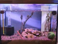 WhatsApp Görsel 2025-10-22 saat 21.15.20_9d91cf17.jpg