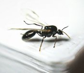 WhatsApp Görsel 2025-10-22 saat 21.15.20_1200330b.jpg