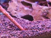 WhatsApp Görsel 2025-10-22 saat 21.15.20_f79642f5.jpg WhatsApp Görsel 2025-10-22 saat 21.15.20_f79642f5.jpg