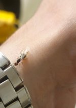 WhatsApp Görsel 2025-10-22 saat 23.41.28_cc87158d.jpg