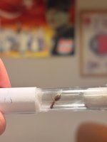 WhatsApp Görsel 2025-10-22 saat 23.41.28_e0d49da6.jpg