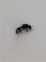 WhatsApp Image 2025-10-23 at 11.08.26.jpeg