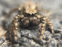 IMG_1715.jpeg