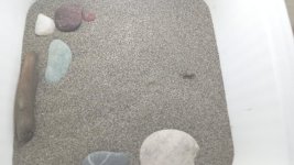 1761325222741.jpeg 1761325222741.jpeg