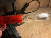 IMG_0239.jpeg