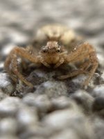 IMG_1844.jpeg