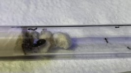 WhatsApp Görsel 2025-10-26 saat 02.22.21_b720c6ca.jpg