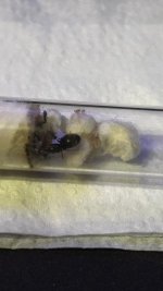 WhatsApp Görsel 2025-10-26 saat 02.22.21_f949c05b.jpg