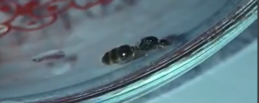 Ekran görüntüsü 2025-10-26 225931.png Ekran görüntüsü 2025-10-26 225931.png