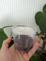 1000024660.jpg 1000024660.jpg