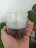 1000024659.jpg 1000024659.jpg