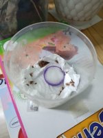 1000020351.jpg 1000020351.jpg