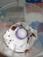 1000020353.jpg 1000020353.jpg