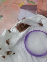 1000020352.jpg 1000020352.jpg