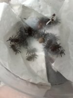 1000023962.jpg 1000023962.jpg