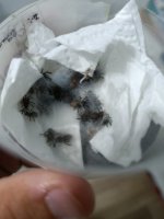 1000023963.jpg 1000023963.jpg