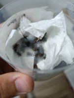 1000023964.jpg 1000023964.jpg