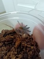 1000024606.jpg 1000024606.jpg