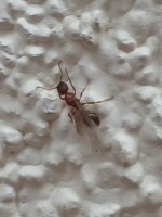 20251027_165449(0).jpg 20251027_165449(0).jpg