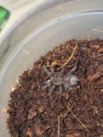 WhatsApp Image 2025-10-28 at 02.34.25.jpeg WhatsApp Image 2025-10-28 at 02.34.25.jpeg