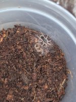 WhatsApp Image 2025-10-28 at 02.34.33.jpeg WhatsApp Image 2025-10-28 at 02.34.33.jpeg