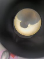 1000058361.jpg 1000058361.jpg