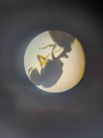 IMG_20251029_173115.jpg IMG_20251029_173115.jpg