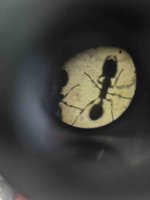 IMG_20251029_173445.jpg IMG_20251029_173445.jpg