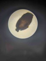 IMG_20251029_173240.jpg IMG_20251029_173240.jpg