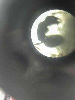 IMG_20251029_174313.jpg IMG_20251029_174313.jpg